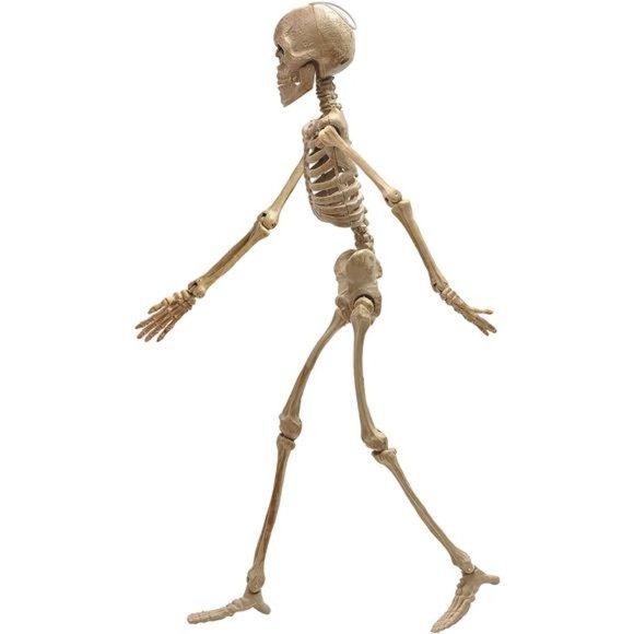 2 Pcs Halloween Skeleton Decorations, Full Body Realistic...